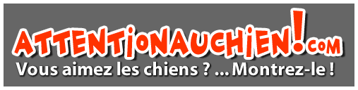 Attention au chien