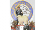 Meilleur du Groupe 5 Angers 2015